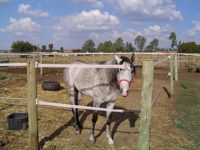 1 Horse Paddock Kit - 1 or 2 Strand 40mm Paddock - 24m x 24m each