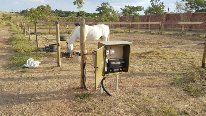 3 Horse Paddock Kit - 1 or 2 Strand 40mm Paddock - 24m x 24m each