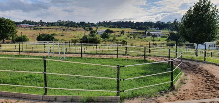 3 Horse Paddock Kit - 1 or 2 Strand 40mm Paddock - 24m x 24m each