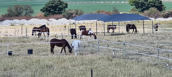 3 Horse Paddock Kit - 1 or 2 Strand 40mm Paddock - 24m x 24m each