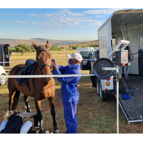 JVA Portable Horse Paddock Kit