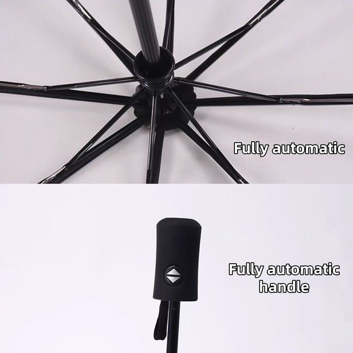 Luffy/Zoro Carry Your Pirate Dream with Transparent Umbrella - Straw Hat Crew by Your Side
