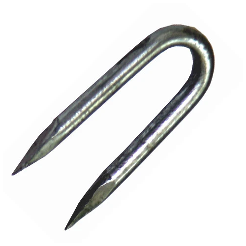 Staple Nails