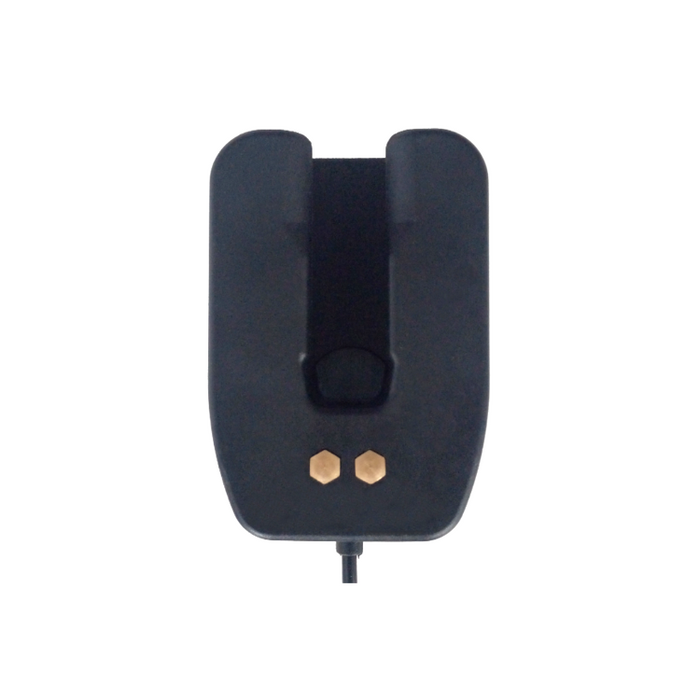 aina voice responder in-vehicle charger