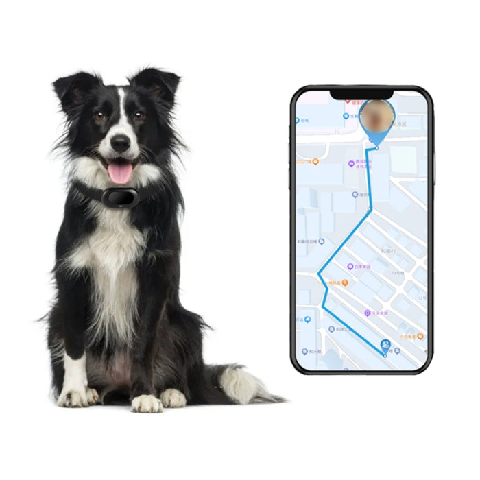V41 GPS Tracker for Pets - Waterproof IP67, Available in 2G/4G Versions