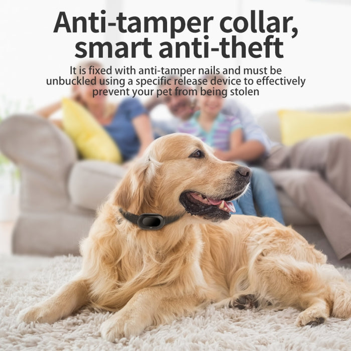 V41 GPS Tracker for Pets - Waterproof IP67, Available in 2G/4G Versions